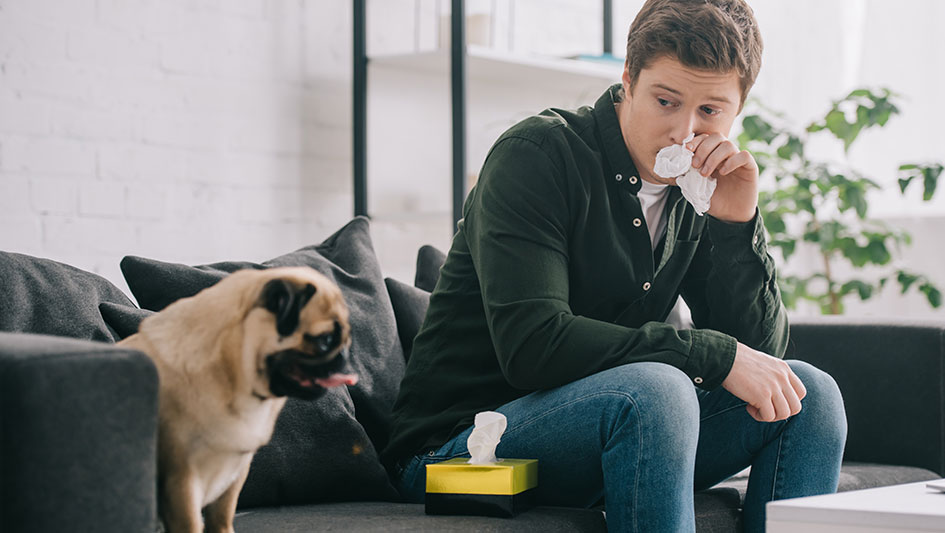 Installing an air purifier is one of the wisest approaches to enhance your residence’s indoor air quality. Find out more about the three best options. 